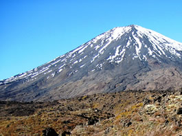 Oturere Hut to Waihohonu Hut