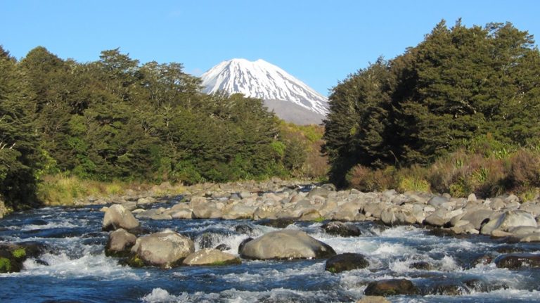 Tongariro -Trout Fishing